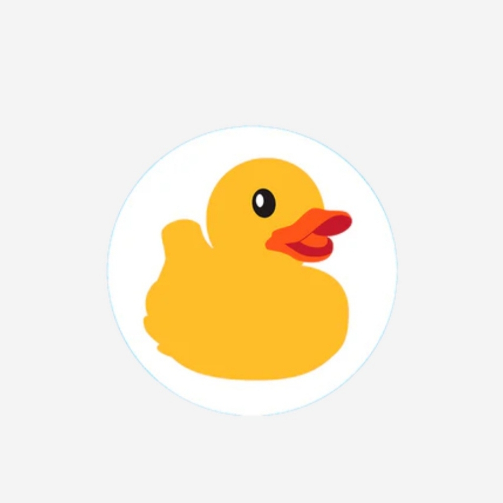 Bogg Bag Bits Ducky. 🐥🐤